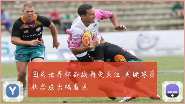 国足世界杯备战再受关注 关键球员状态成出线看点