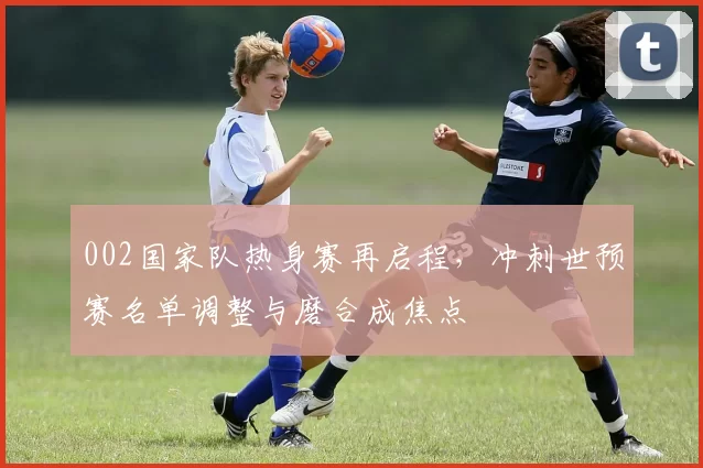 002国家队热身赛再启程,冲刺世预赛名单调整与磨合成焦点