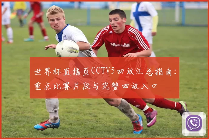 世界杯直播页CCTV5回放汇总指南：重点比赛片段与完整回放入口