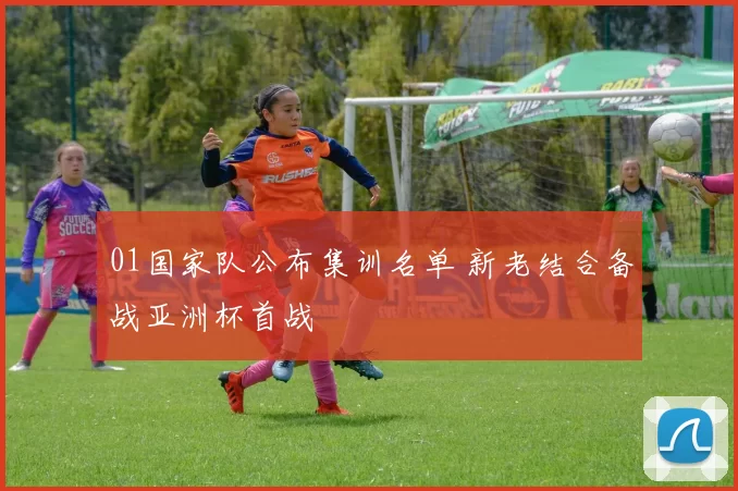 01国家队公布集训名单 新老结合备战亚洲杯首战