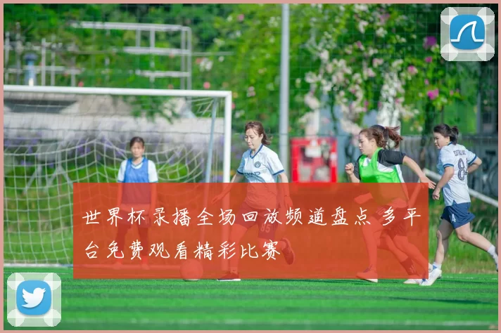 世界杯录播全场回放频道盘点 多平台免费观看精彩比赛