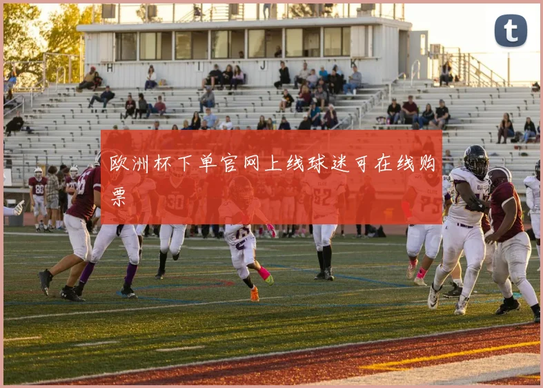 欧洲杯下单官网上线球迷可在线购票