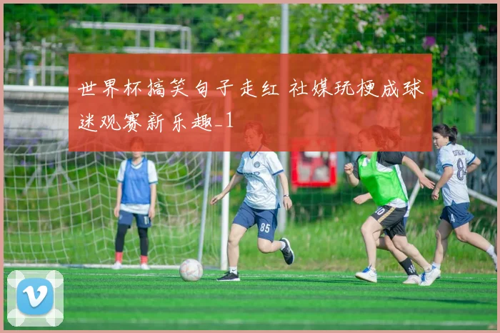世界杯搞笑句子走红 社媒玩梗成球迷观赛新乐趣_1