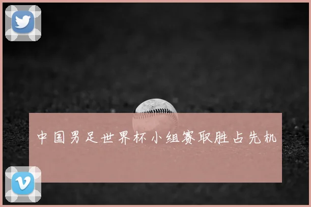 中国男足世界杯小组赛取胜占先机